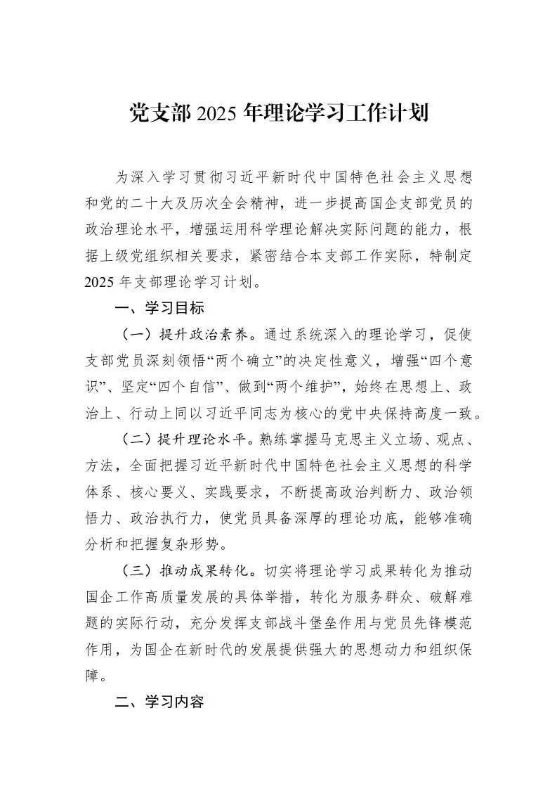 党支部2025年理论学习工作计划（02-28）_第1页