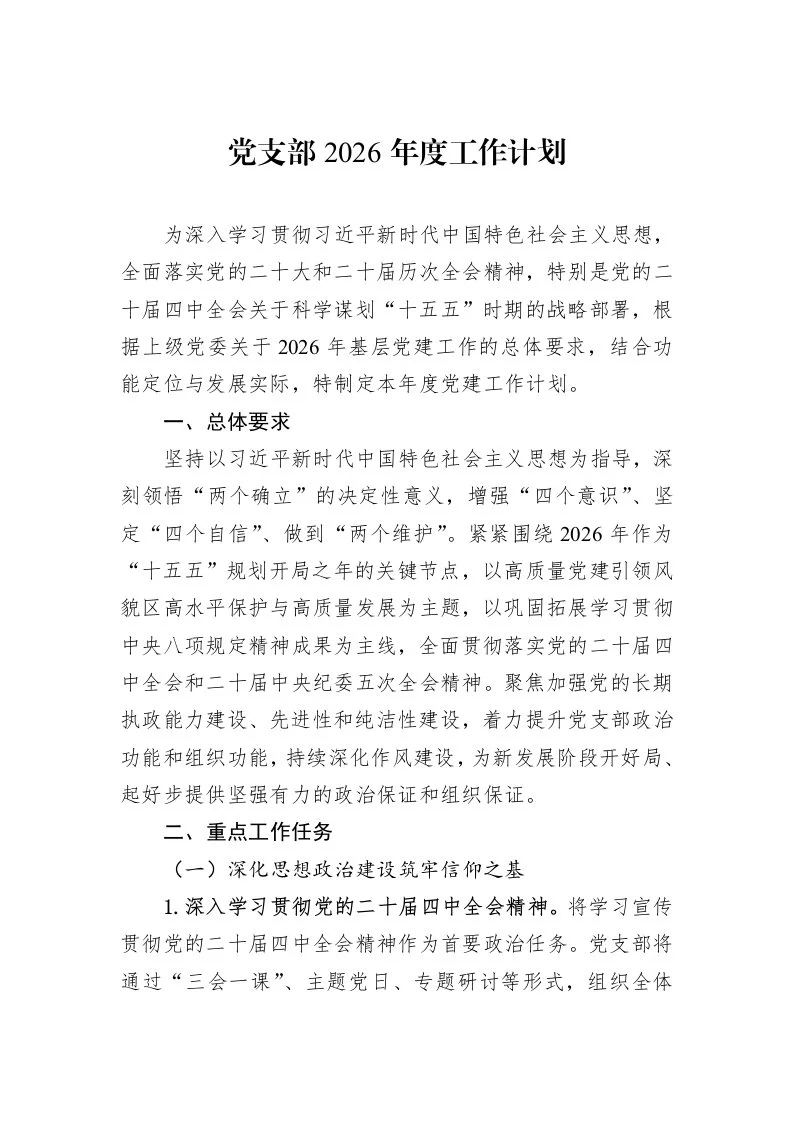 党支部2026年度工作计划_第1页