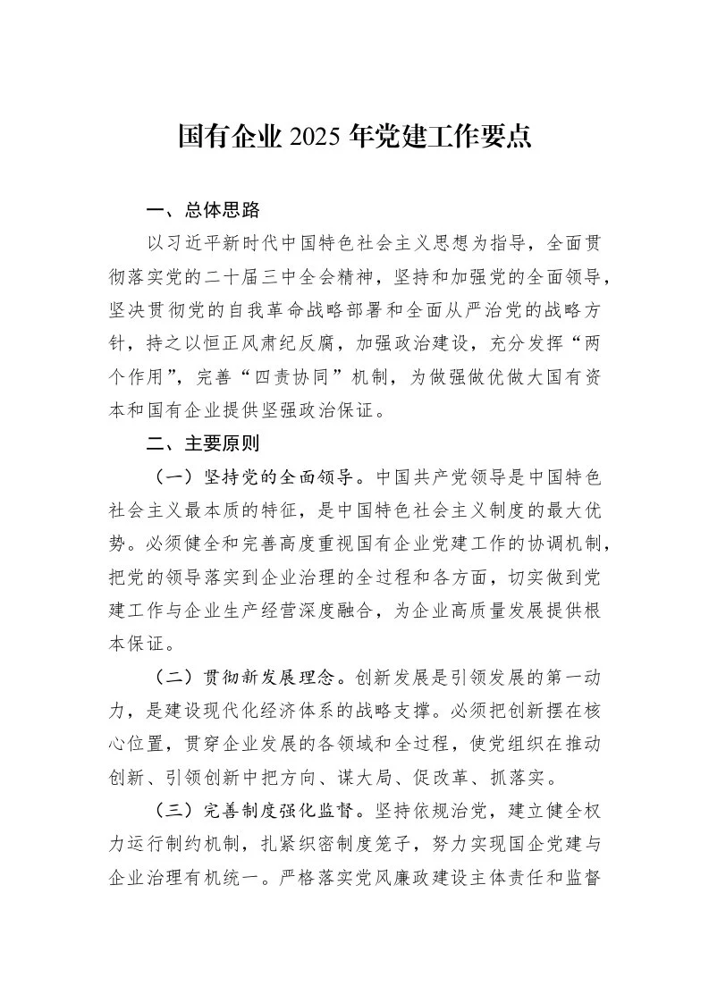 国有企业2025年党建工作要点_第1页