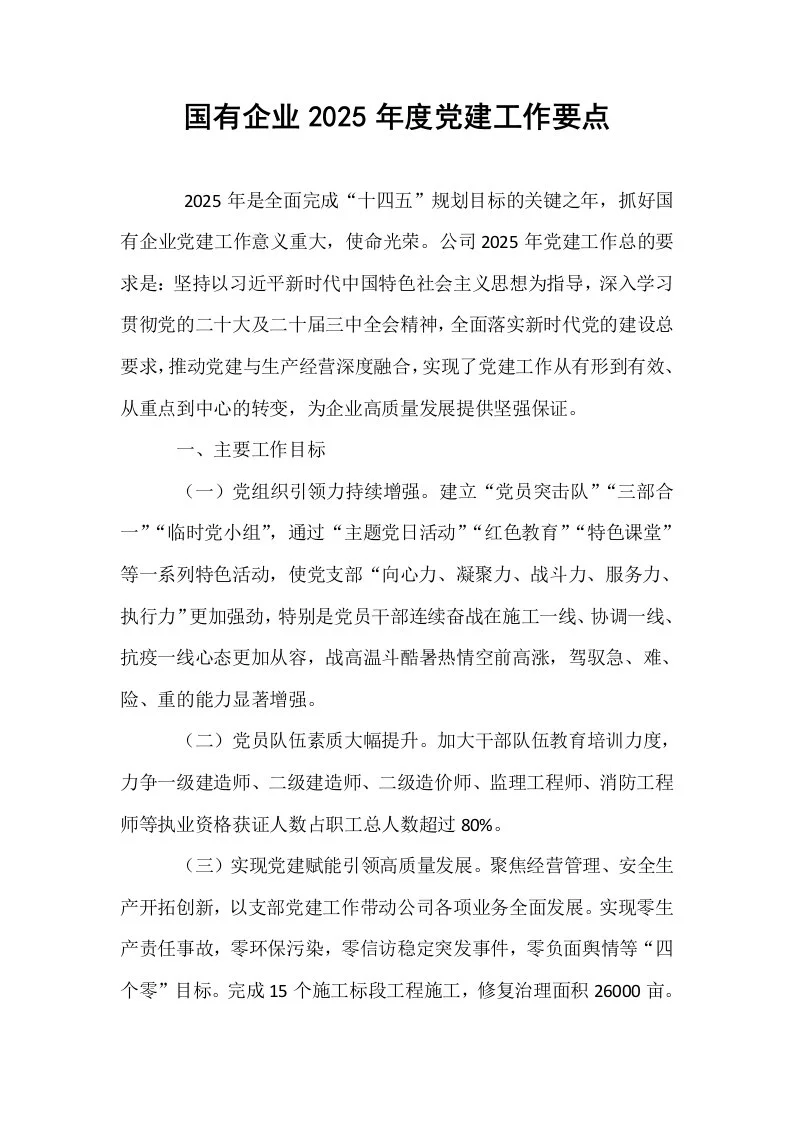 国有企业2025年度党建工作要点_第1页