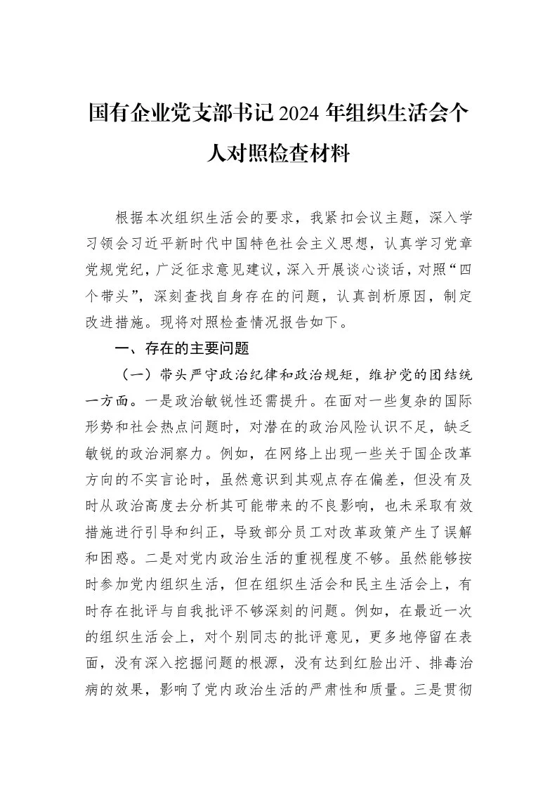 国有企业党支部书记2024年组织生活会个人对照检查材料（02-12）_第1页