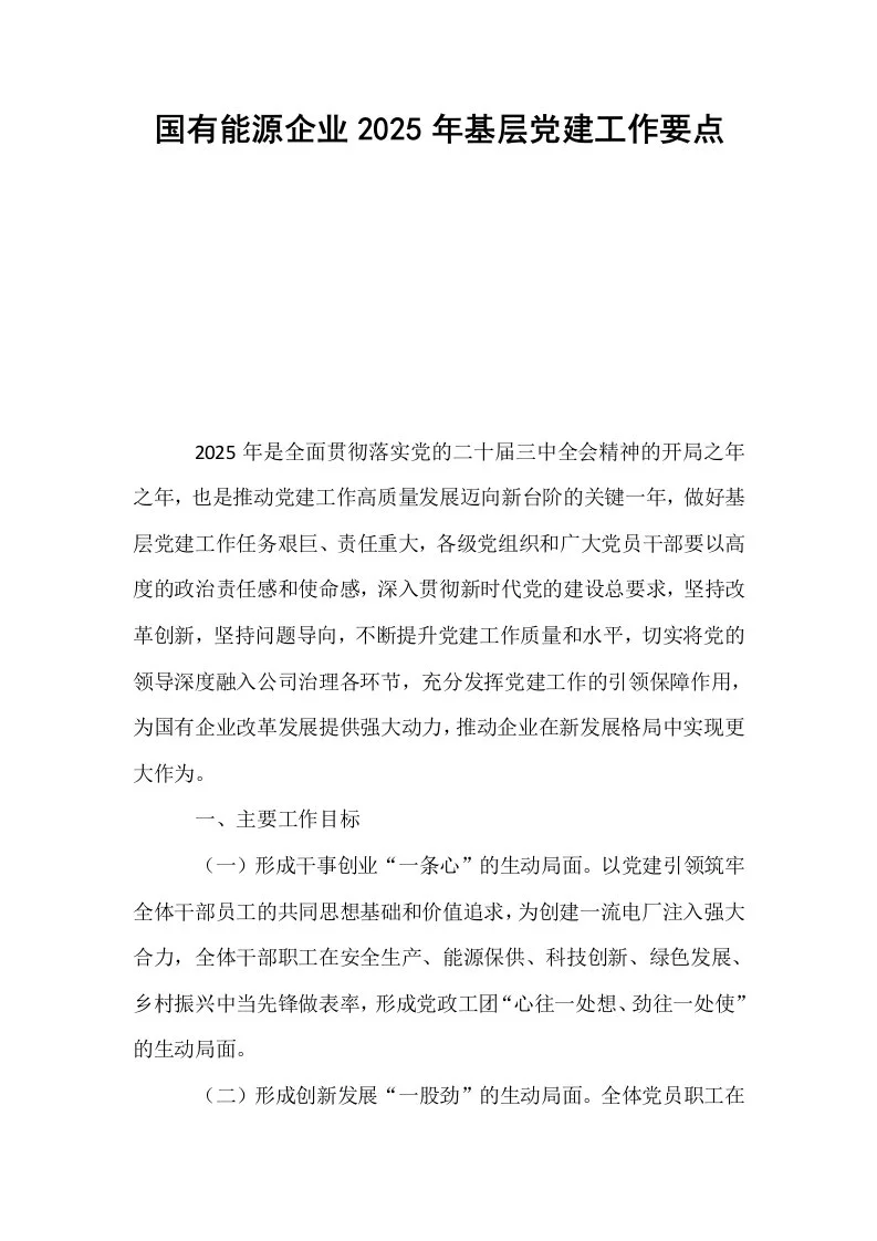 国有能源企业2025年基层党建工作要点_第1页