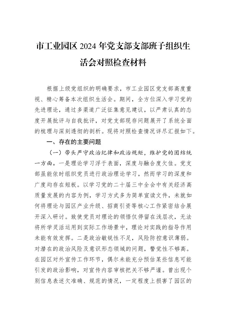 市工业园区2024年党支部支部班子组织生活会对照检查材料（02-13）_第1页