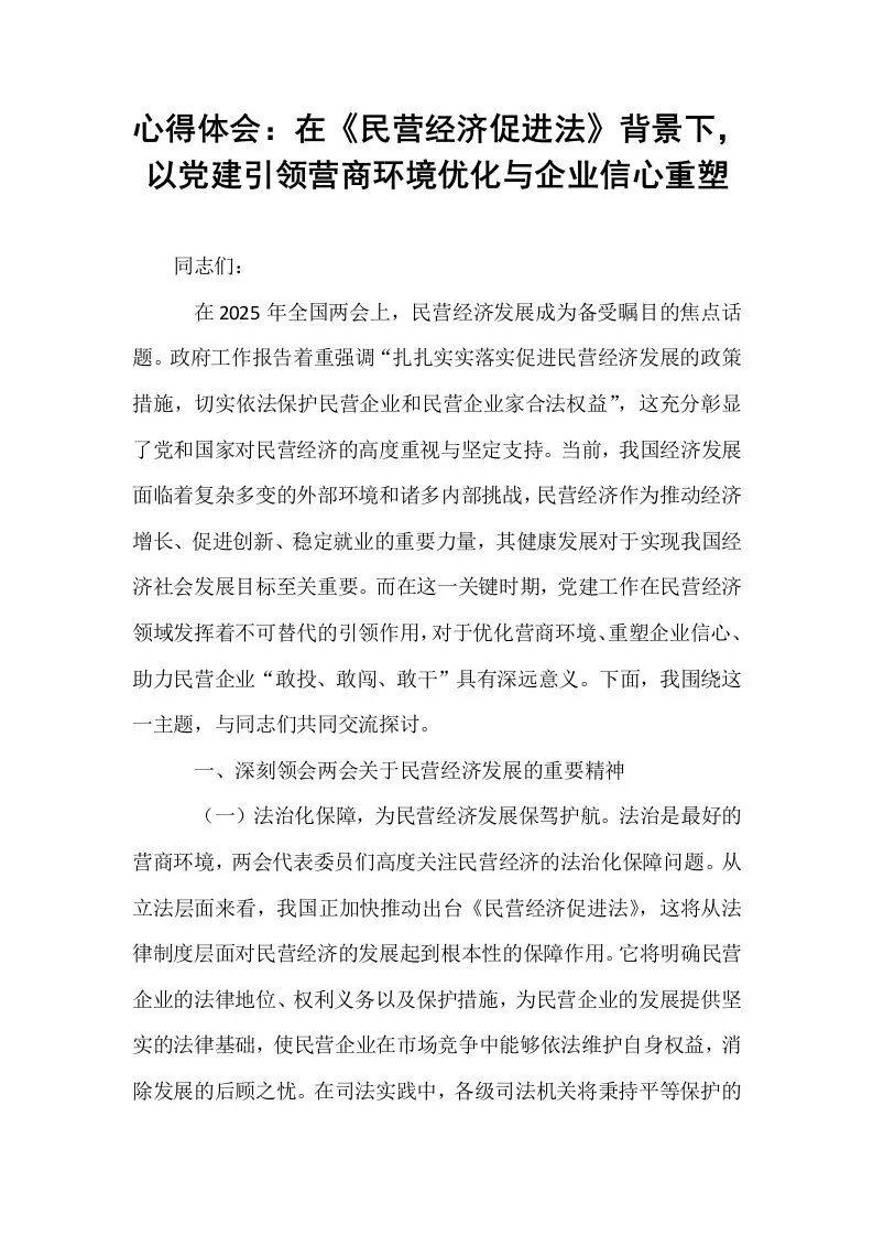 心得体会：在《民营经济促进法》背景下，以党建引领营商环境优化与企业信心重塑_第1页