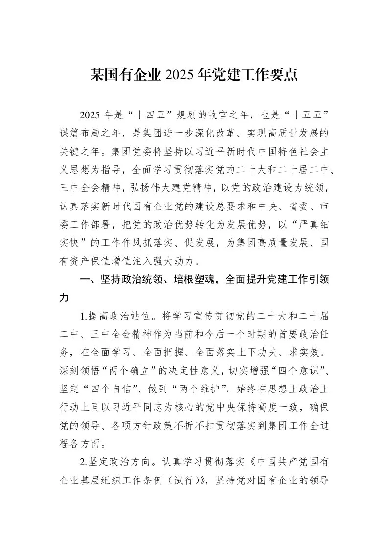 某国有企业2025年党建工作要点 (1)_第1页