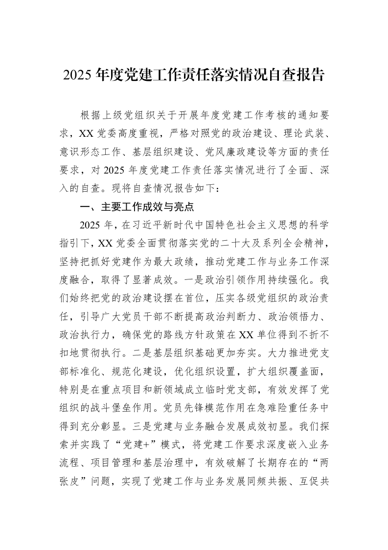 2025年度党建工作责任落实情况自查报告_第1页