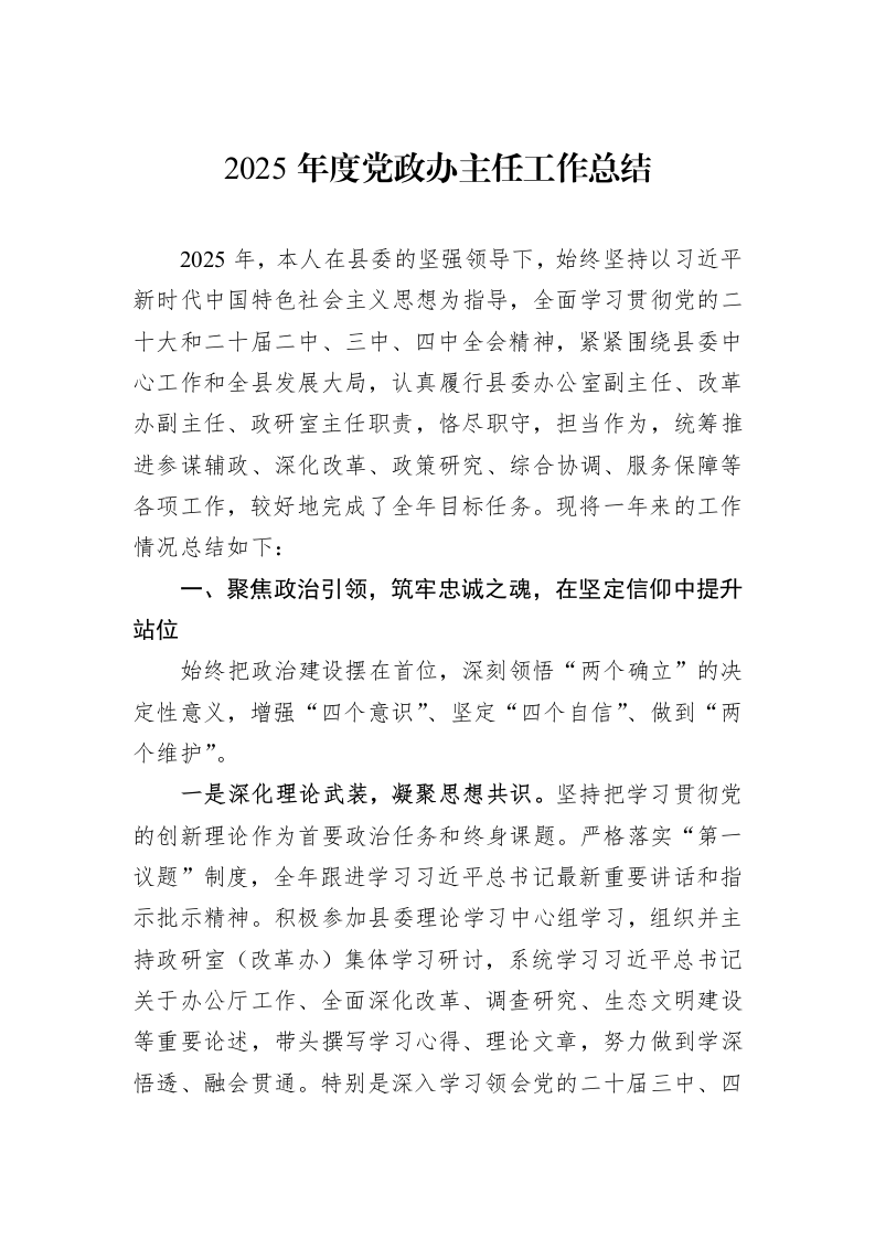2025年度党政办主任工作总结_第1页