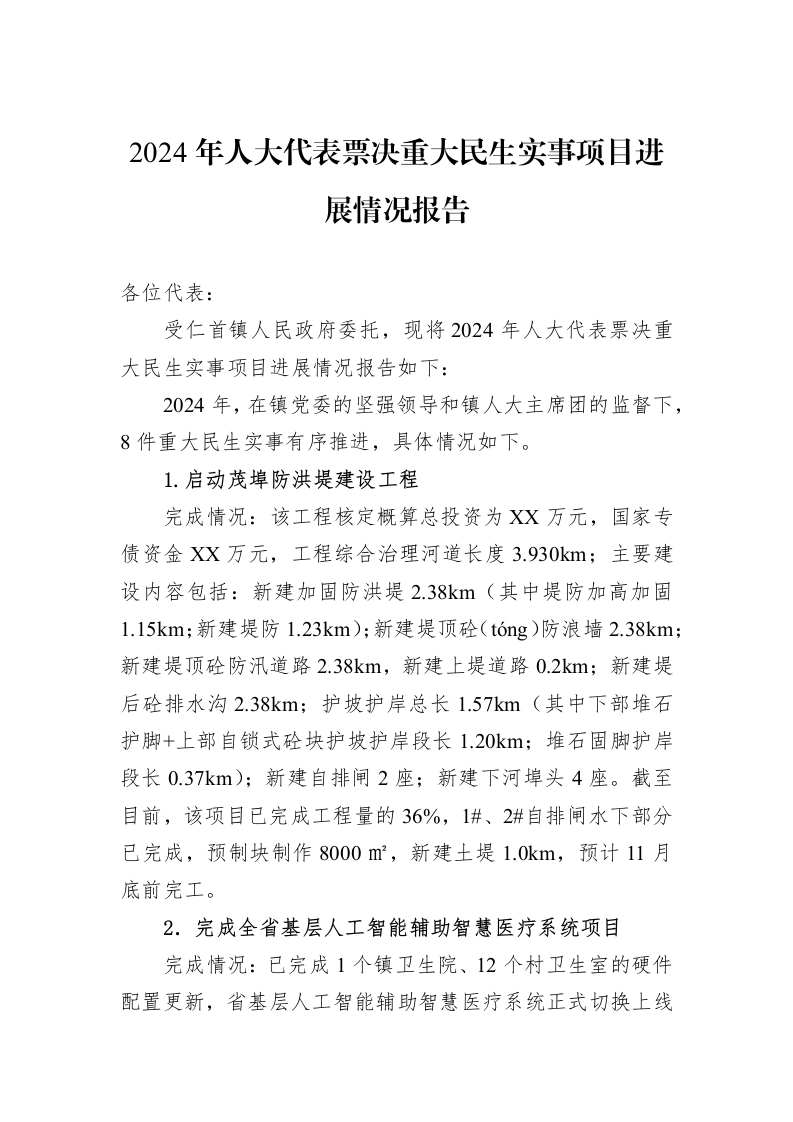 2024年人大代表票决重大民生实事项目进展情况报告_第1页