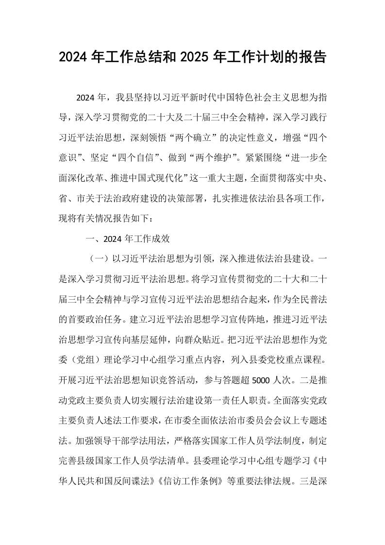 2024年工作总结和2025年工作计划的报告 (1)_第1页