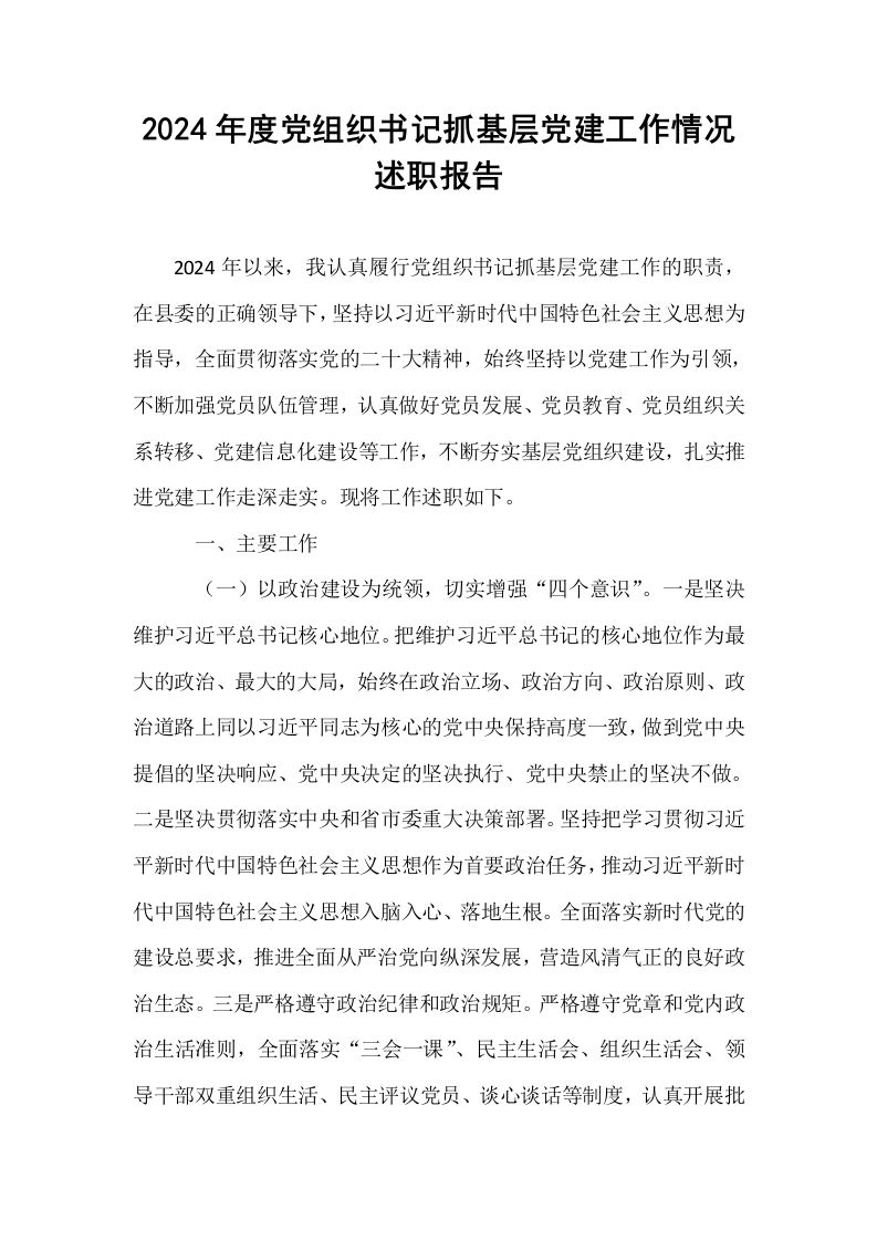 2024年度党组织书记抓基层党建工作情况述职报告._第1页
