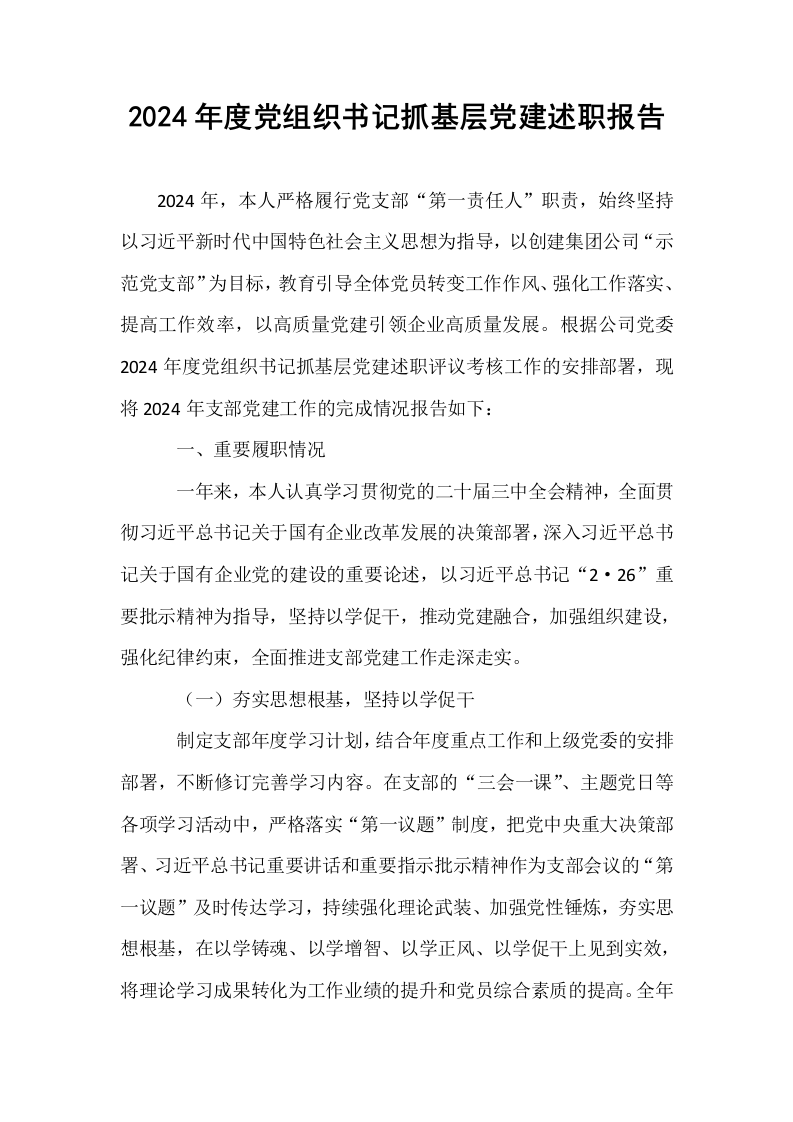 2024年度党组织书记抓基层党建述职报告._第1页