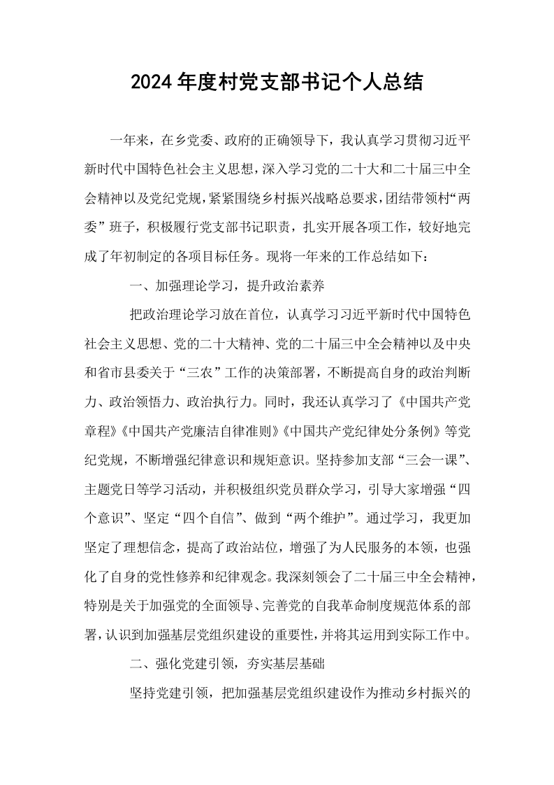2024年度村党支部书记个人总结_第1页