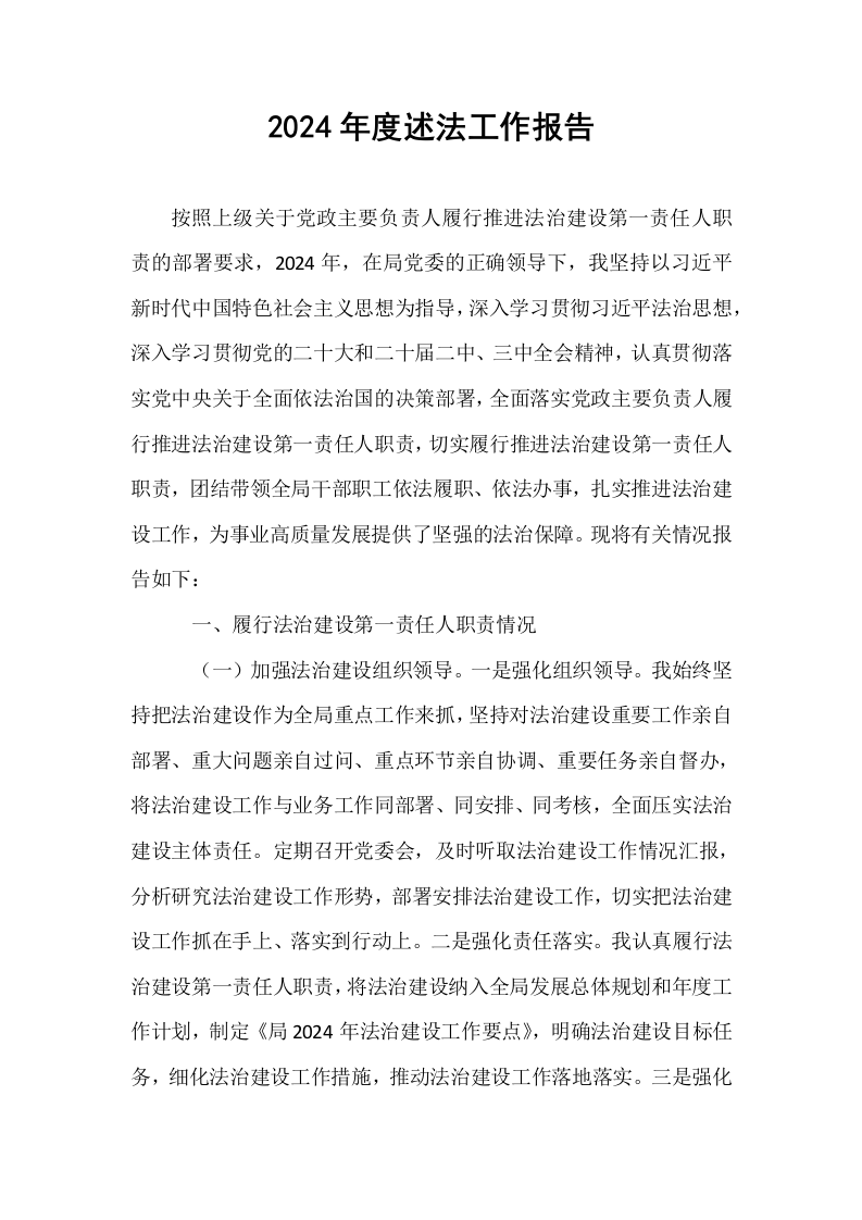 2024年度述法工作报告_第1页