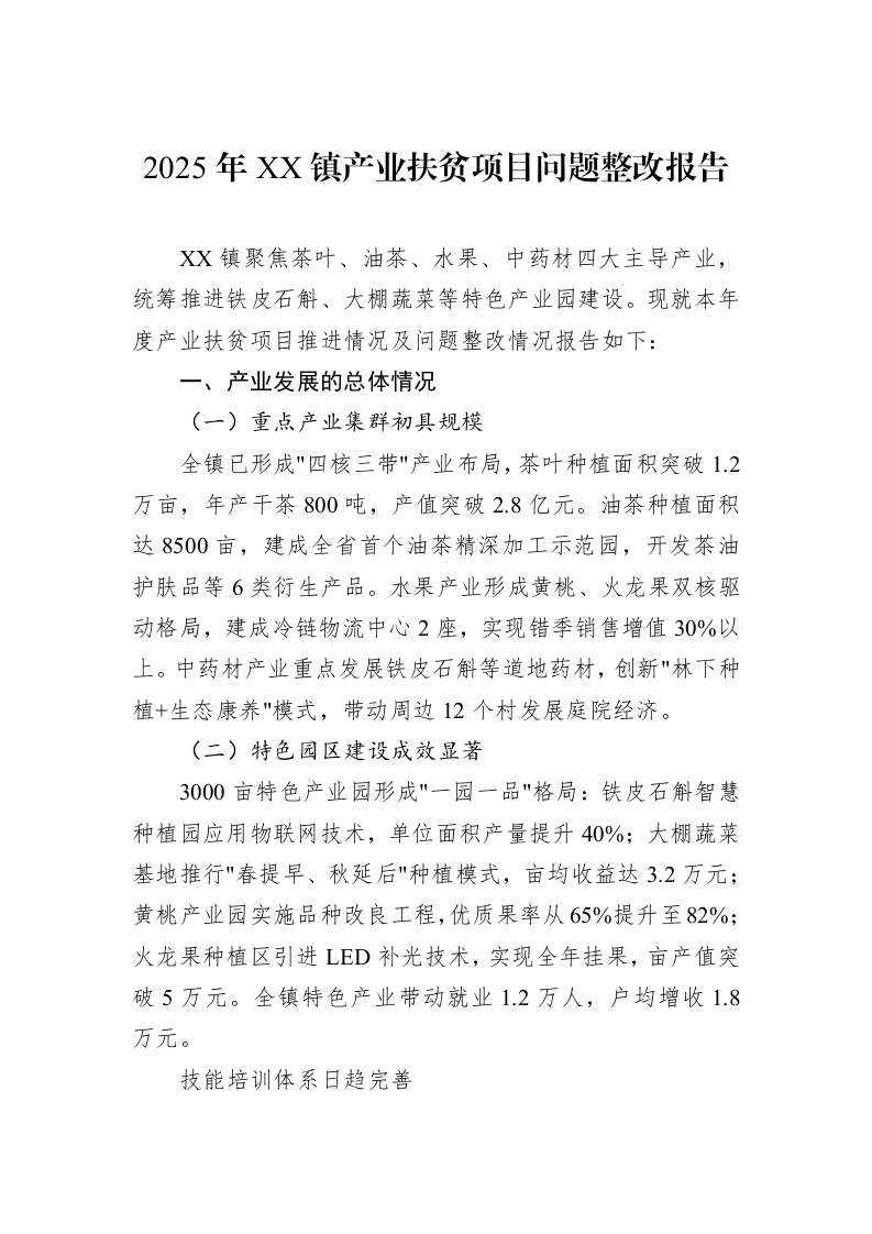 2025年XX镇产业扶贫项目问题整改报告_第1页