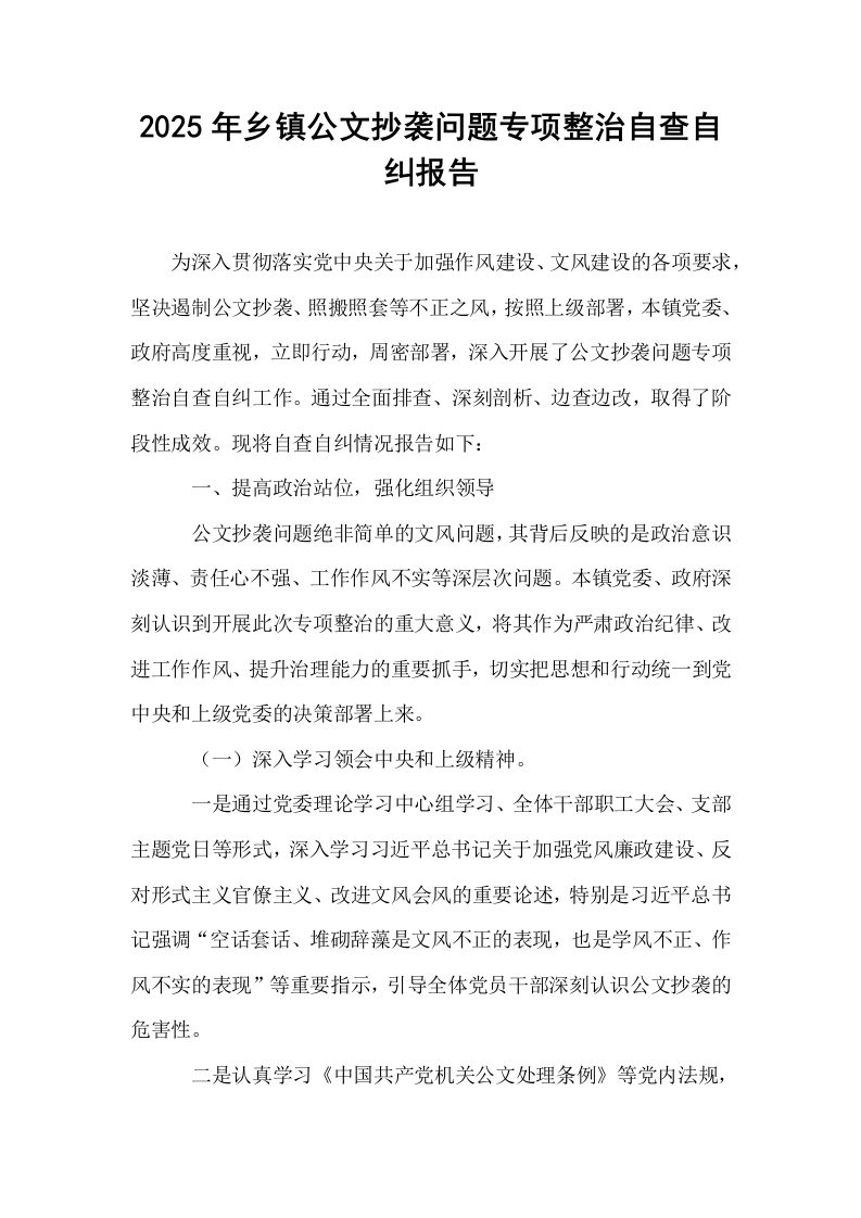 2025年乡镇公文抄袭问题专项整治自查自纠报告_第1页