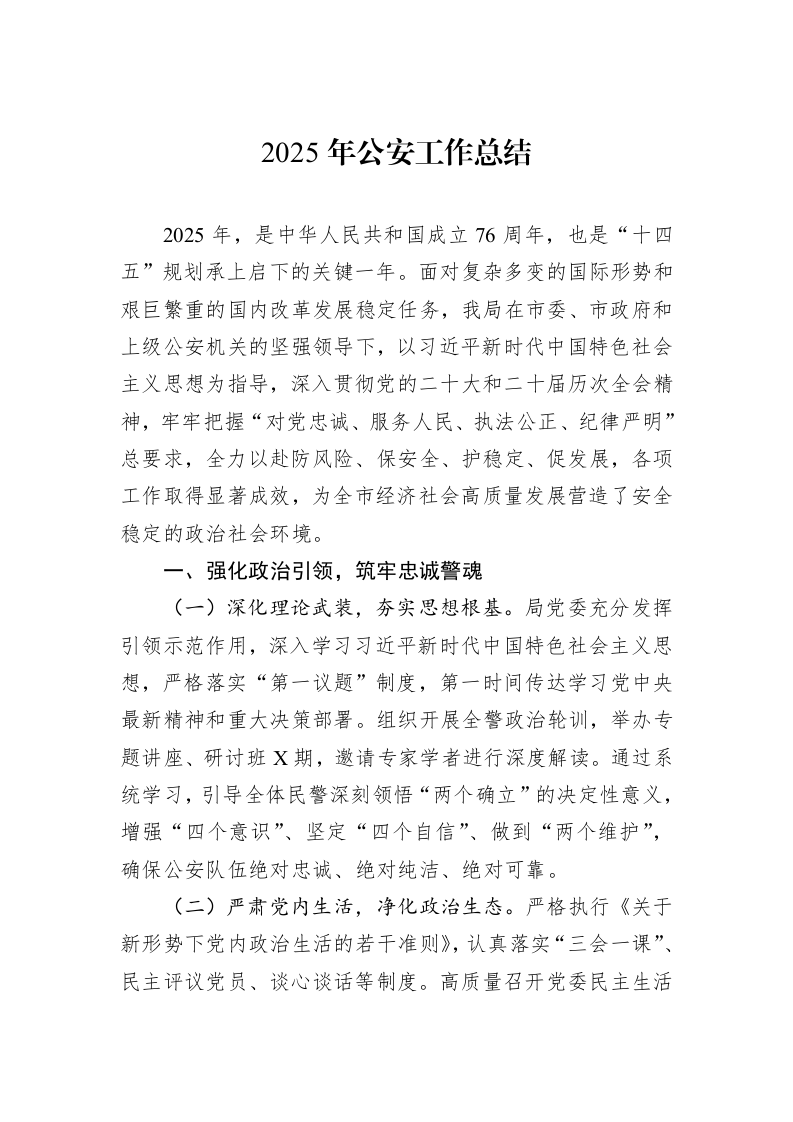 2025年公安工作总结_第1页