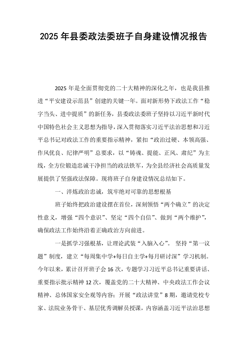 2025年县委政法委班子自身建设情况报告_第1页