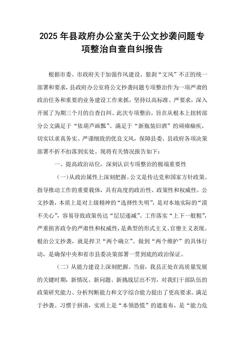 2025年县政府办公室关于公文抄袭问题专项整治自查自纠报告_第1页