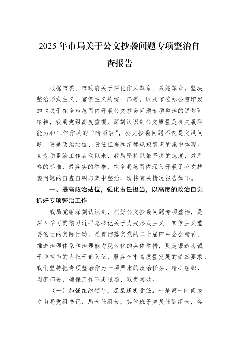 2025年市局关于公文抄袭问题专项整治自查报告_第1页