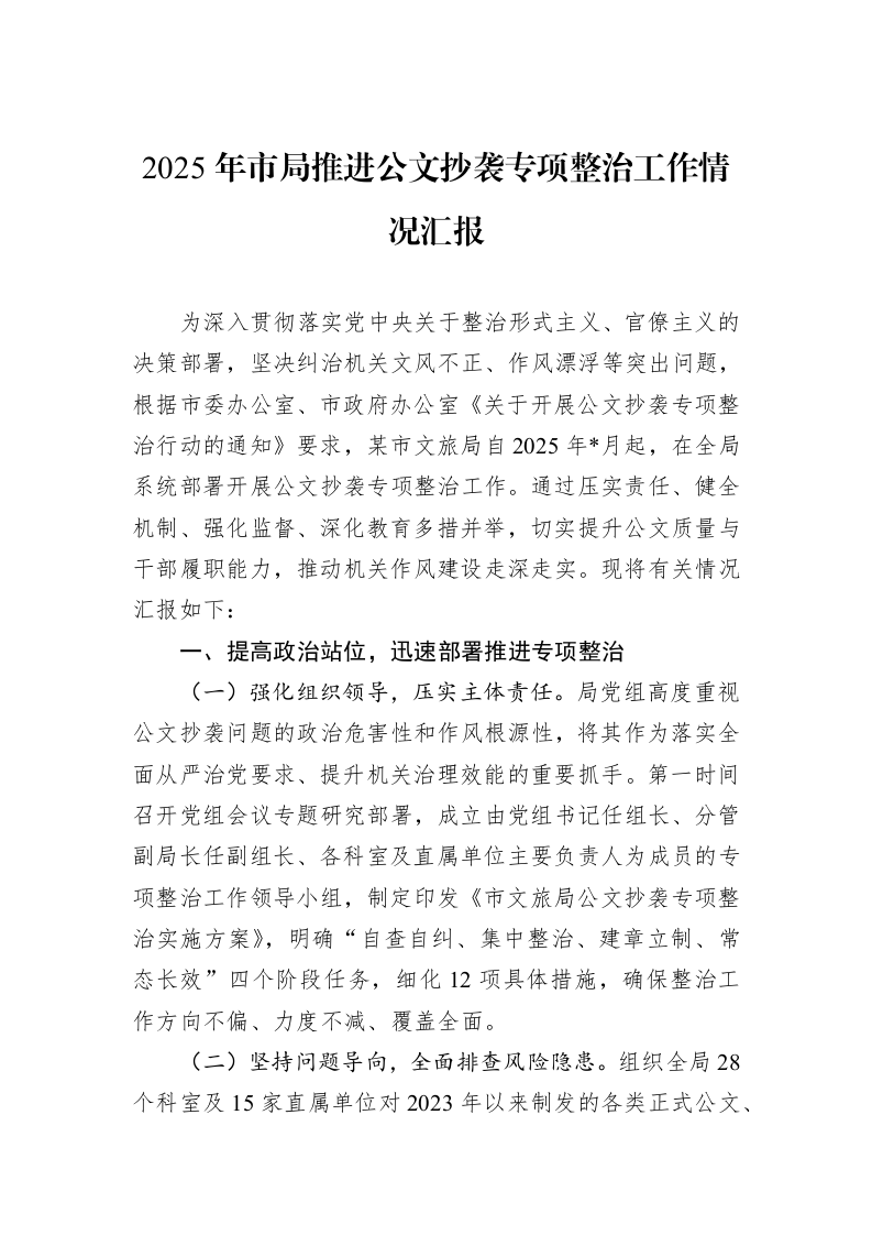 2025年市局推进公文抄袭专项整治工作情况汇报_第1页