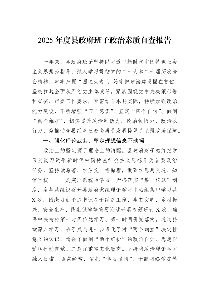 2025年度县政府班子政治素质自查报告_第1页