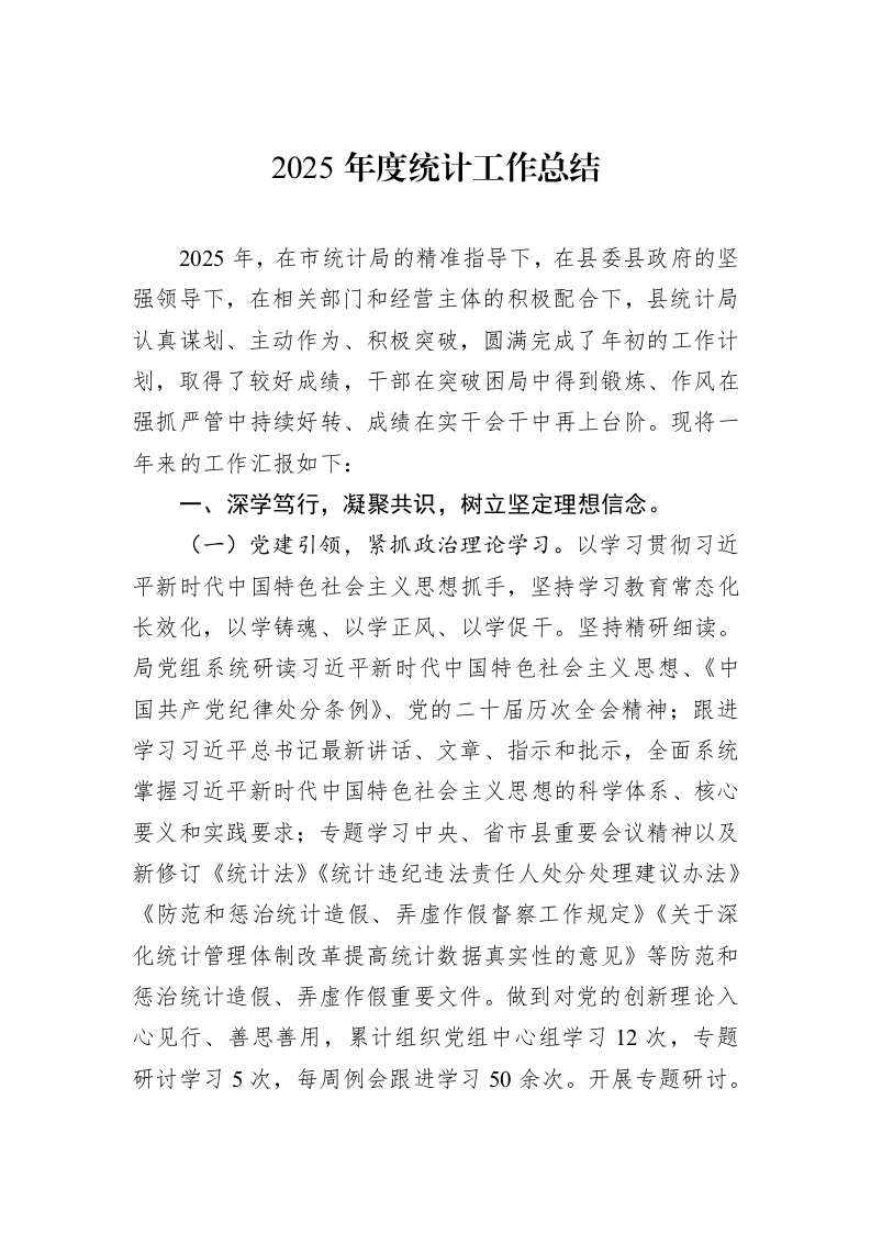 2025年度统计工作总结_第1页