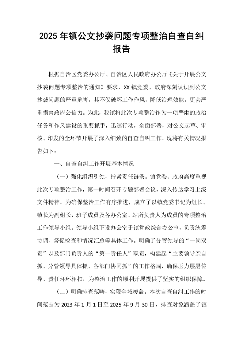 2025年镇公文抄袭问题专项整治自查自纠报告_第1页
