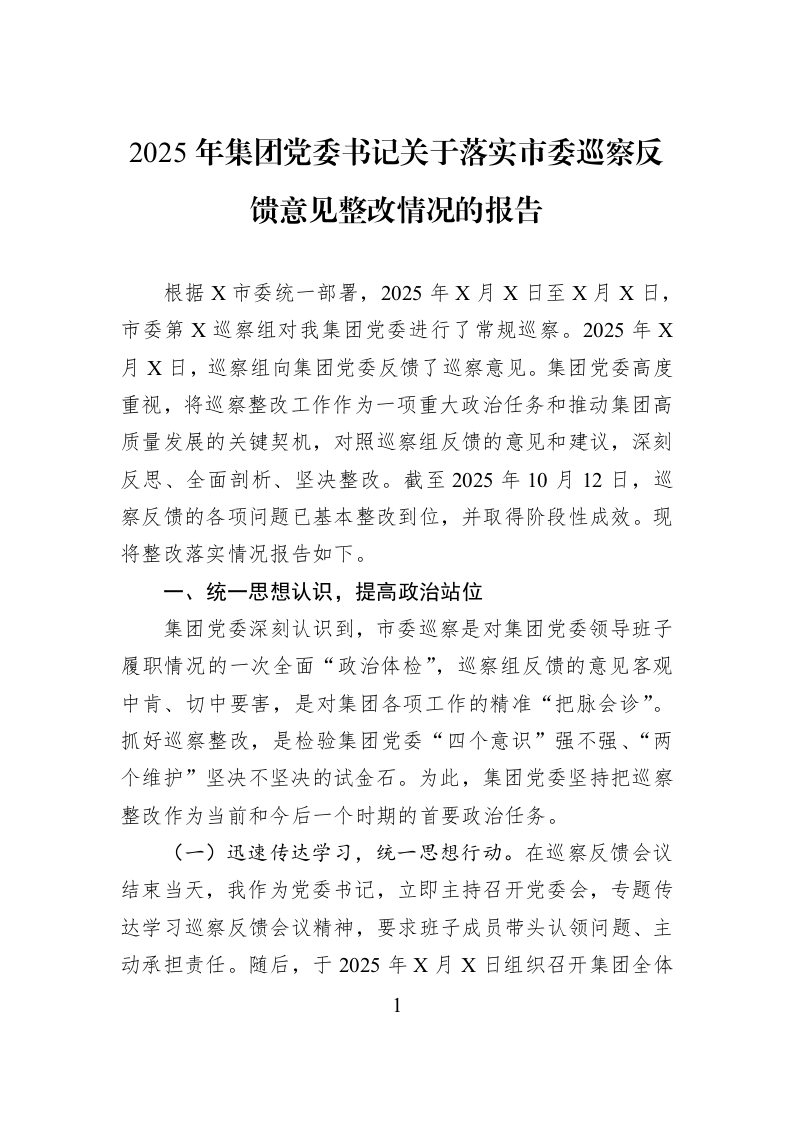 2025年集团党委书记关于落实市委巡察反馈意见整改情况的报告_第1页