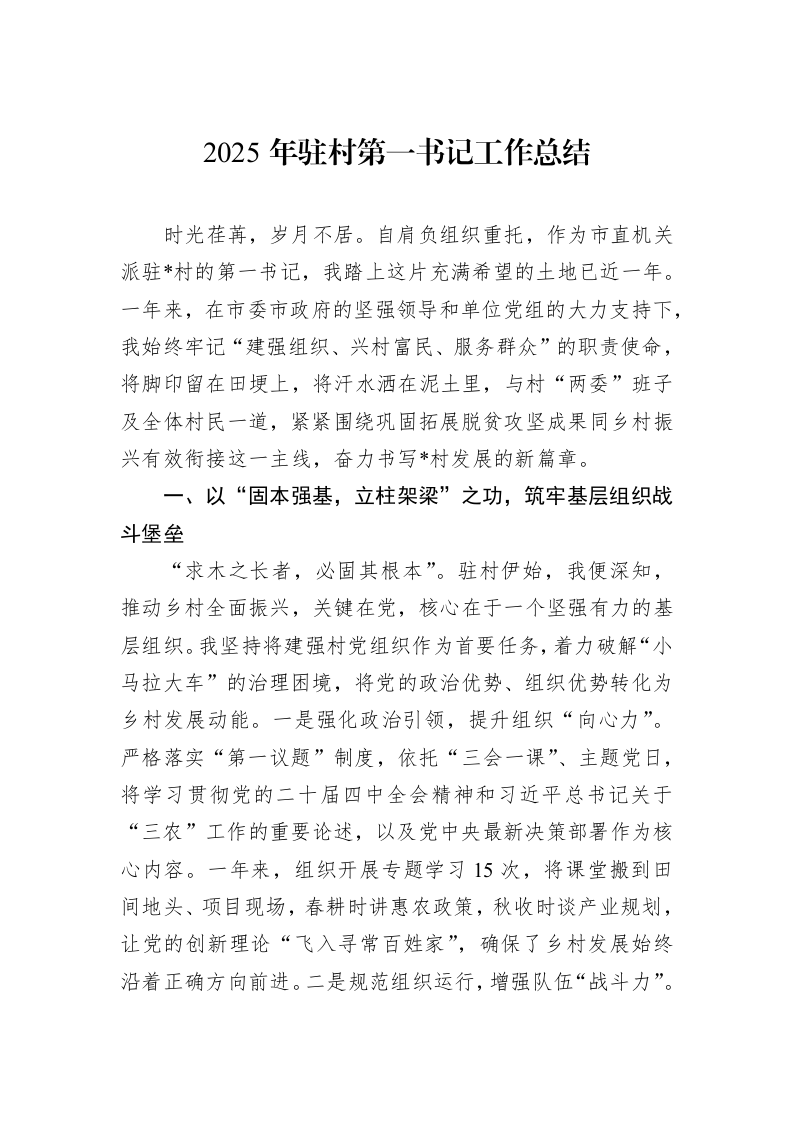 2025年驻村第一书记工作总结_第1页