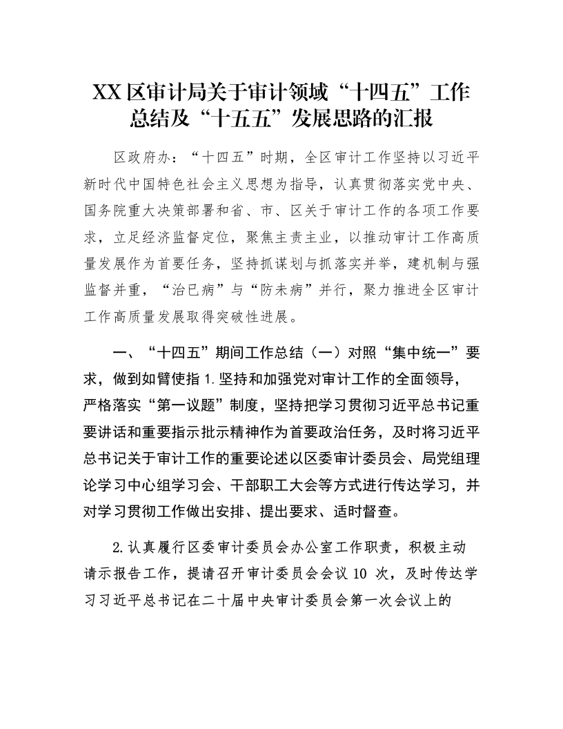XX区审计局关于审计领域“十四五”工作总结及“十五五”发展思路的汇报_第1页