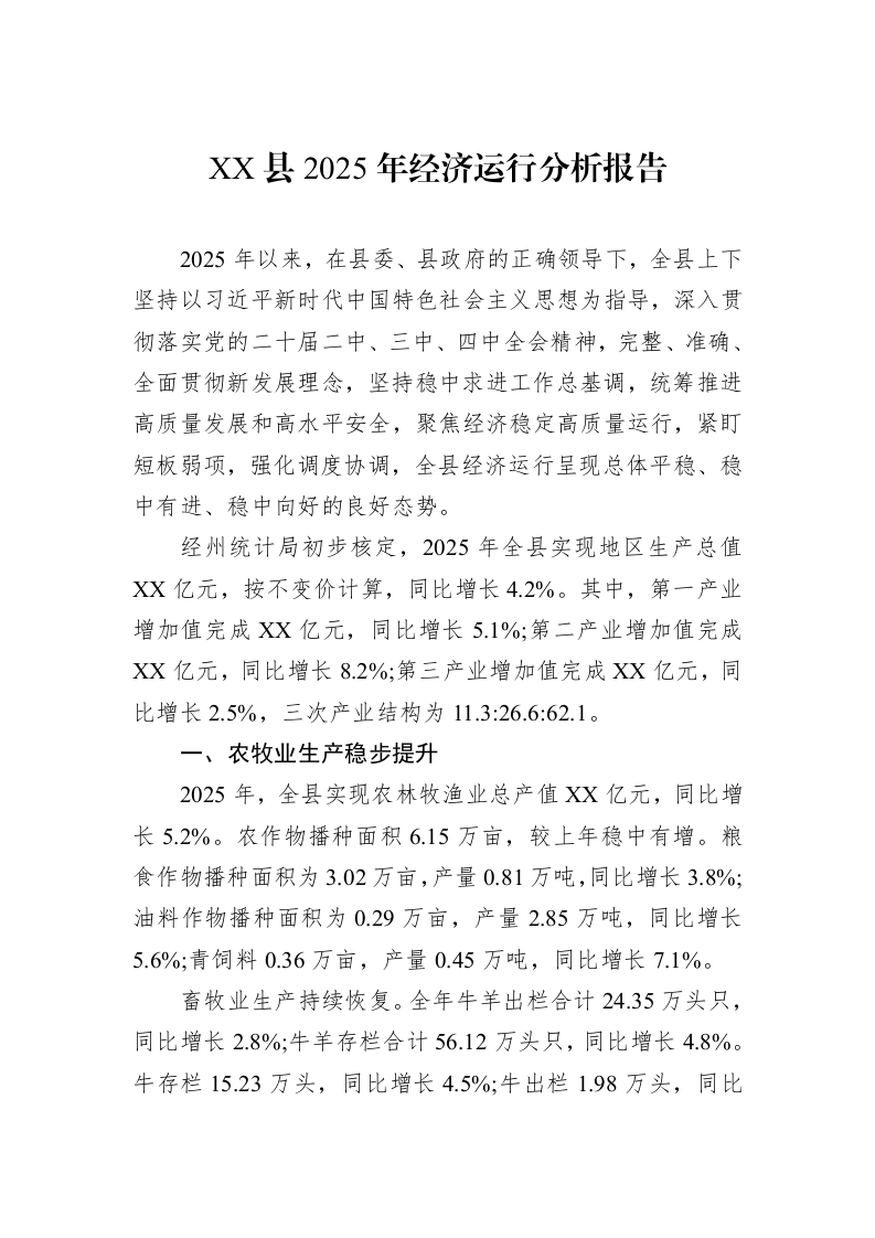 XX县2025年经济运行分析报告_第1页