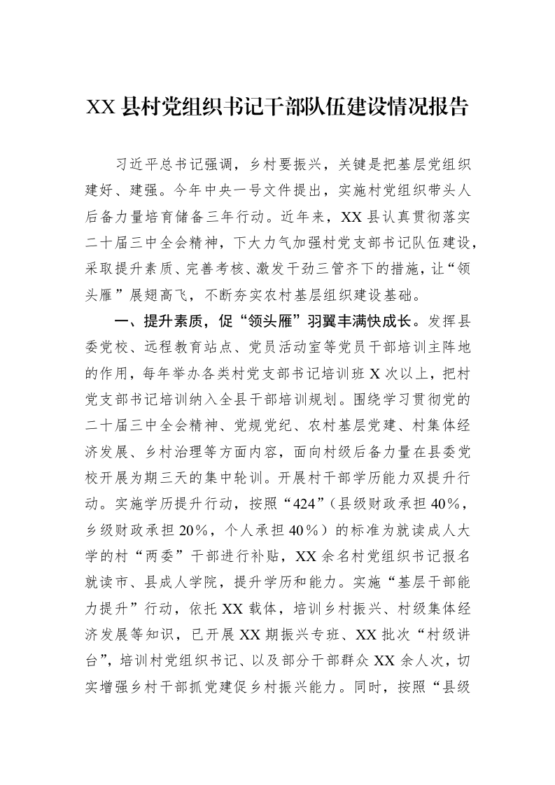 XX县村党组织书记干部队伍建设情况报告_第1页