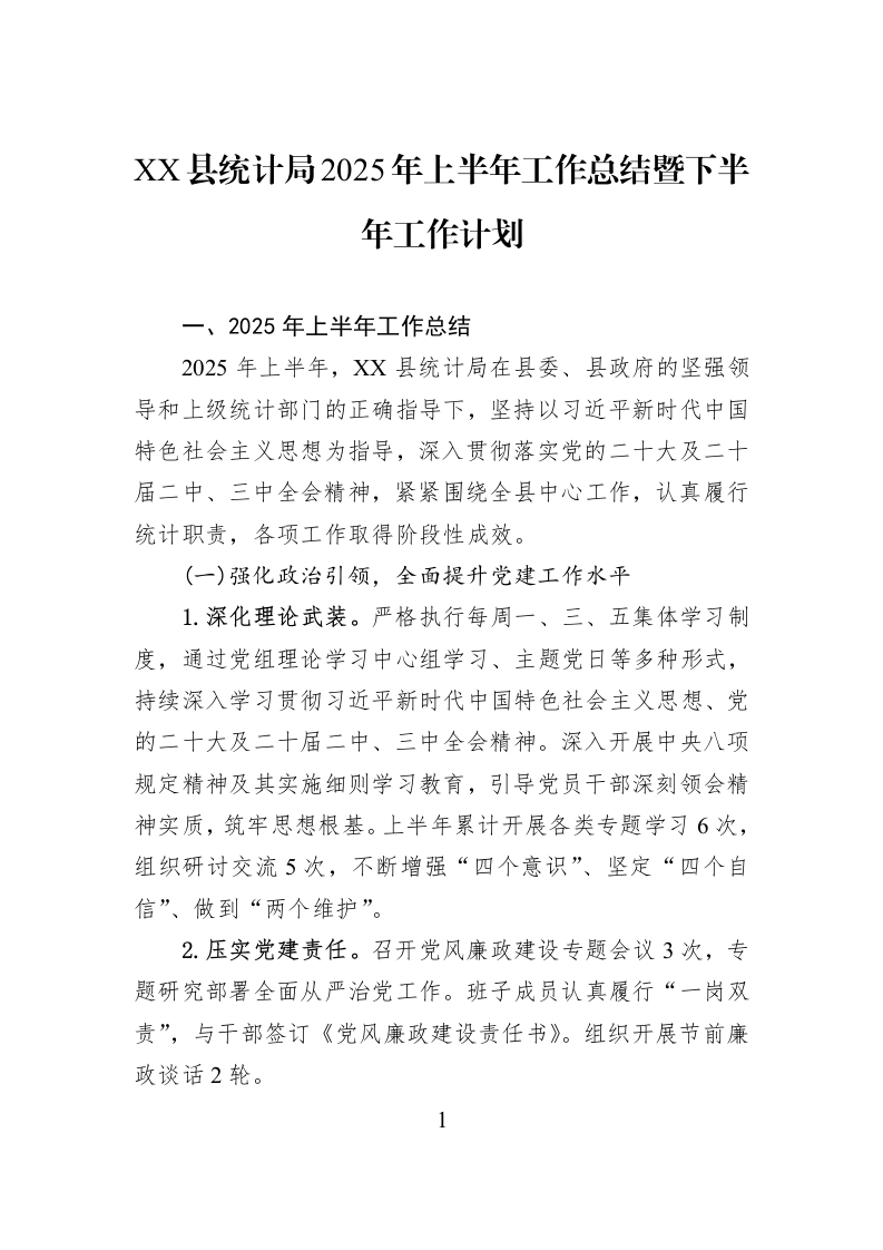 XX县统计局2025年上半年工作总结暨下半年工作计划_第1页