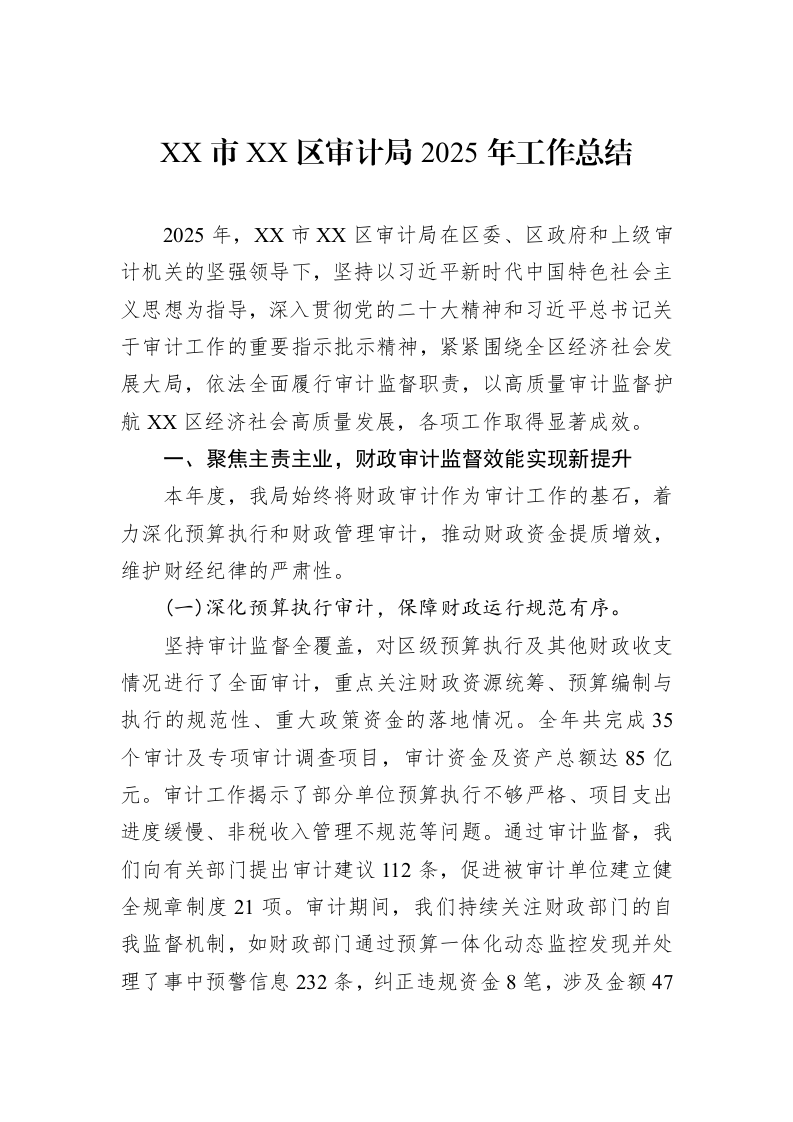 XX市XX区审计局2025年工作总结_第1页