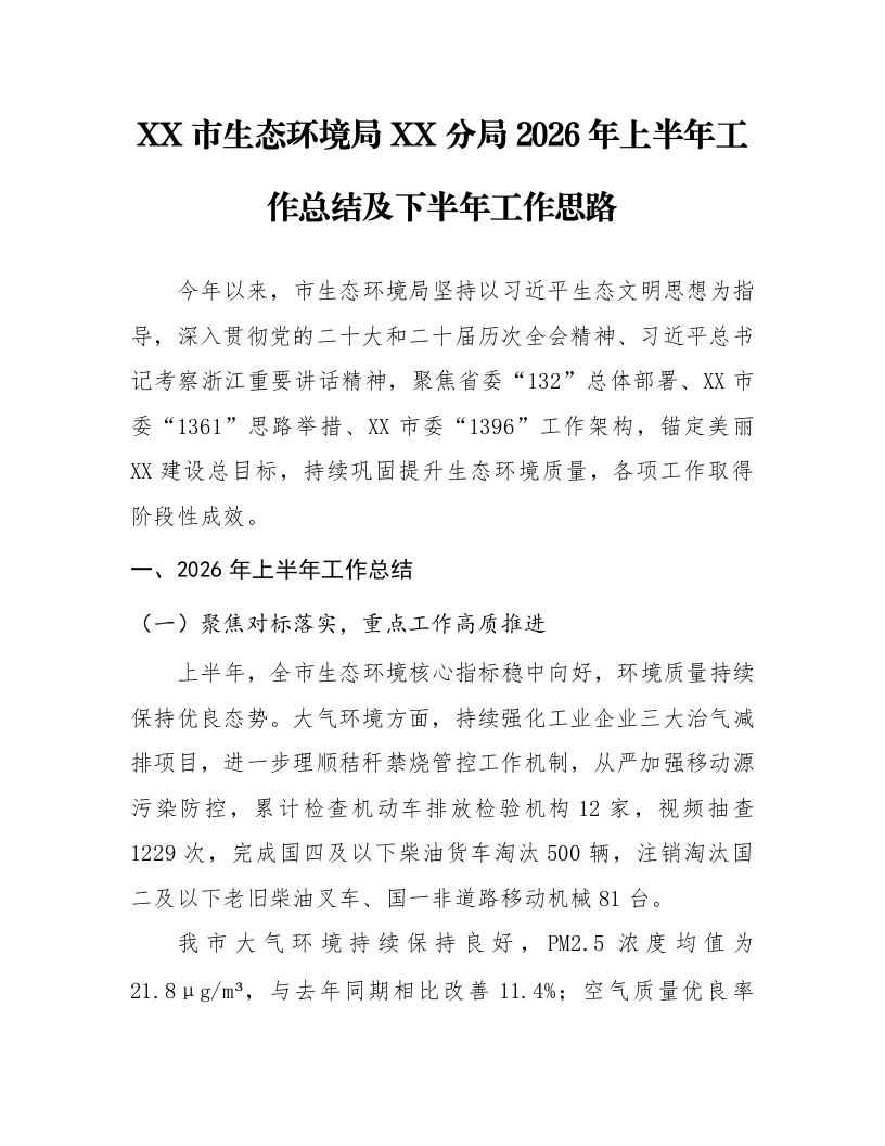 XX市生态环境局XX分局2026年上半年工作总结及下半年工作思路_第1页
