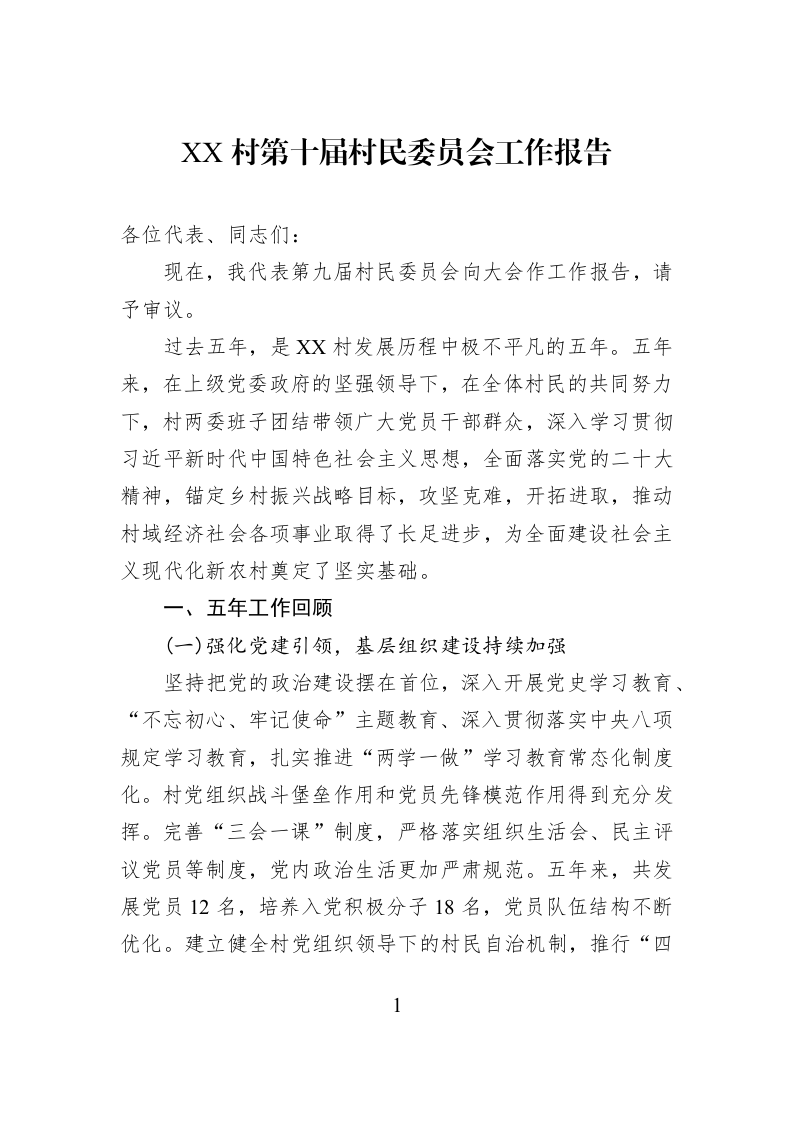 XX村第十届村民委员会工作报告_第1页