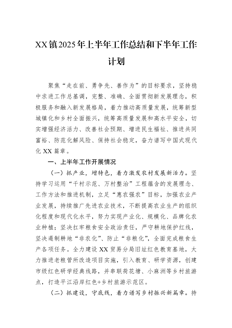 XX镇2025年上半年工作总结和下半年工作计划_第1页