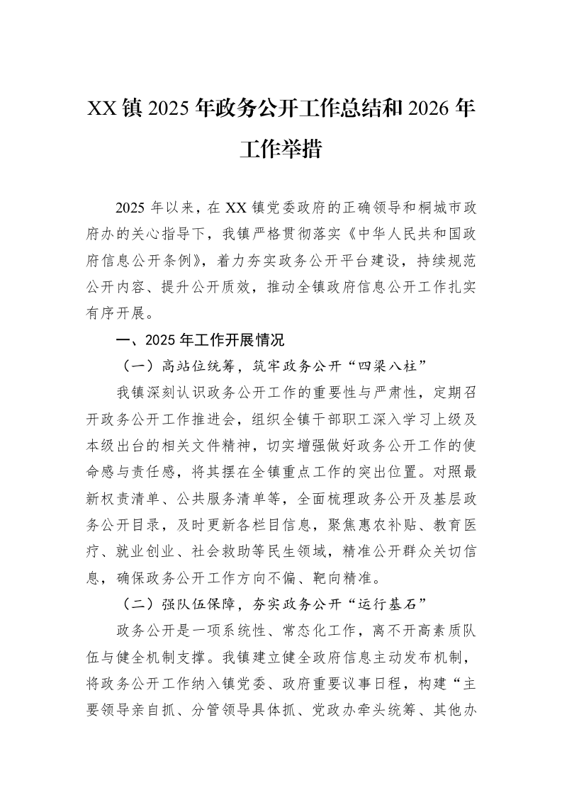 XX镇2025年政务公开工作总结和2026年工作举措_第1页