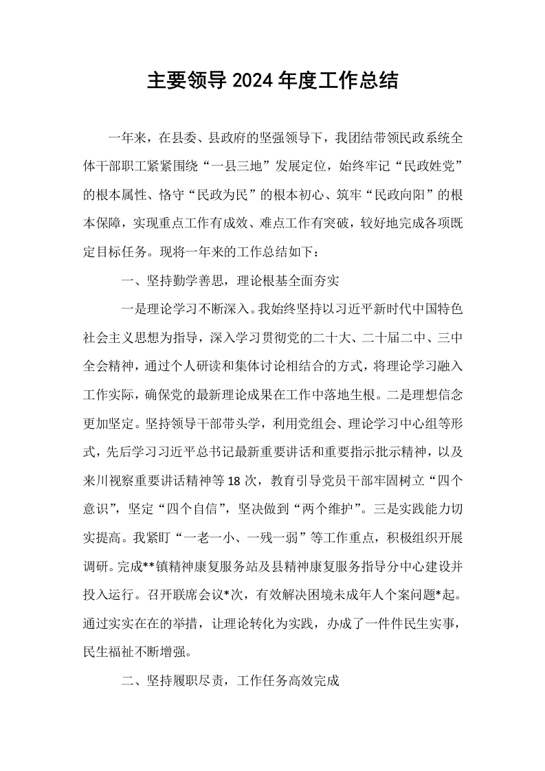 主要领导2024年度工作总结_第1页