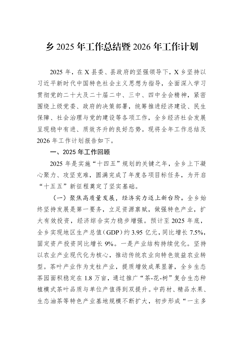 乡2025年工作总结暨2026年工作计划_第1页