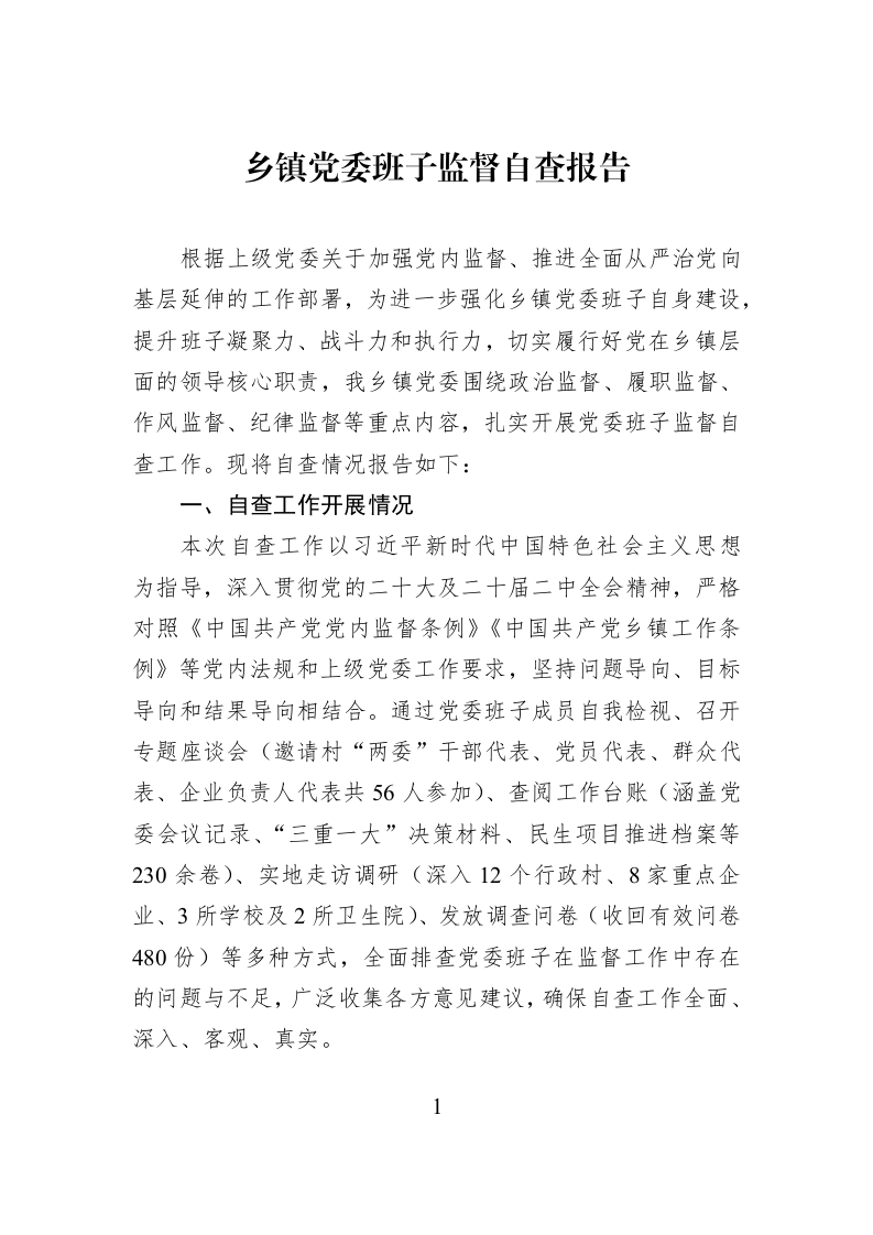 乡镇党委班子监督自查报告_第1页