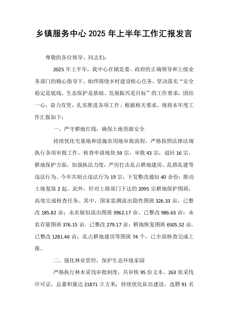 乡镇服务中心2025年上半年工作汇报发言_第1页