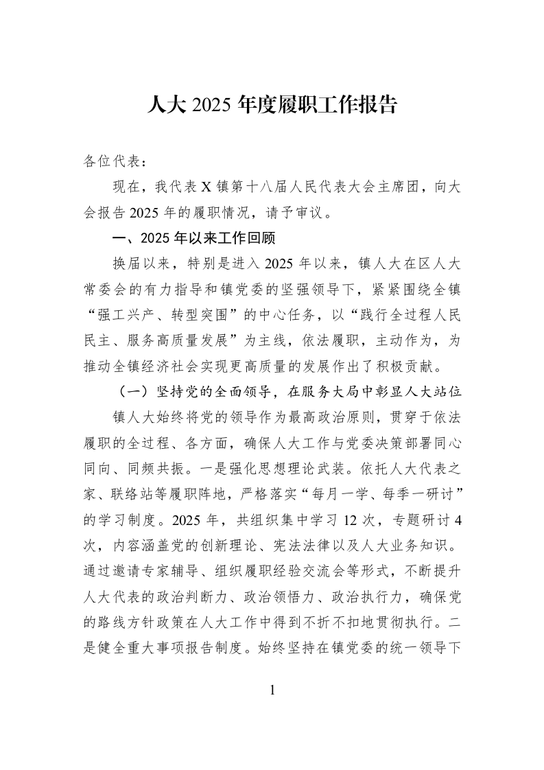 人大2025年度履职工作报告_第1页