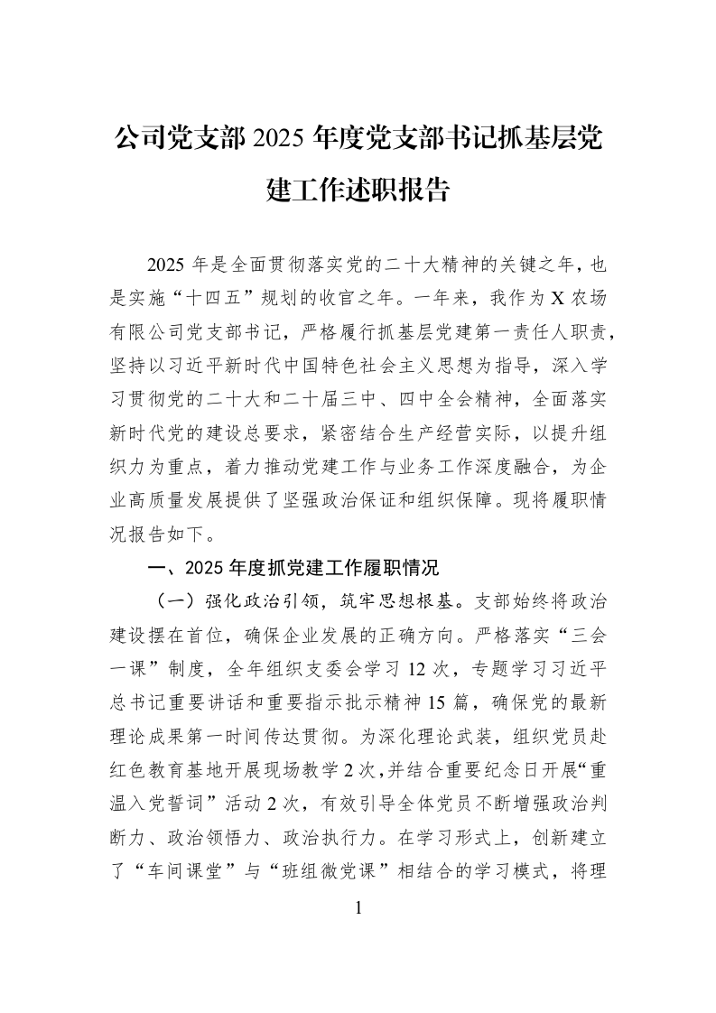公司党支部2025年度党支部书记抓基层党建工作述职报告_第1页