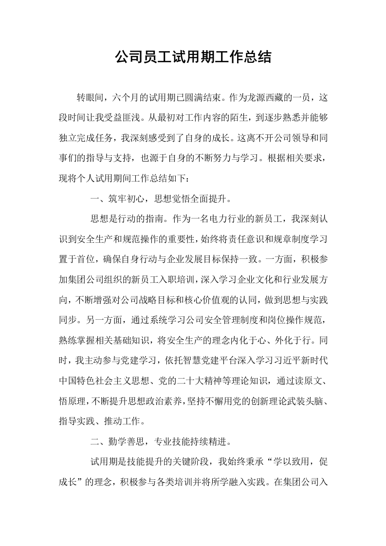 公司员工试用期工作总结_第1页