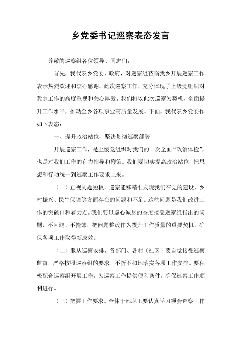 乡党委书记巡察表态发言_第1页