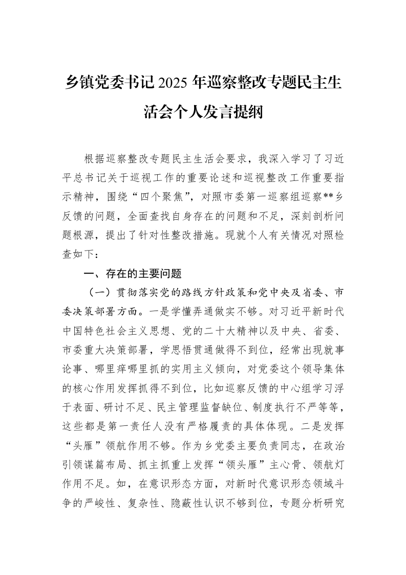 乡镇党委书记2025年巡察整改专题民主生活会个人发言提纲_第1页