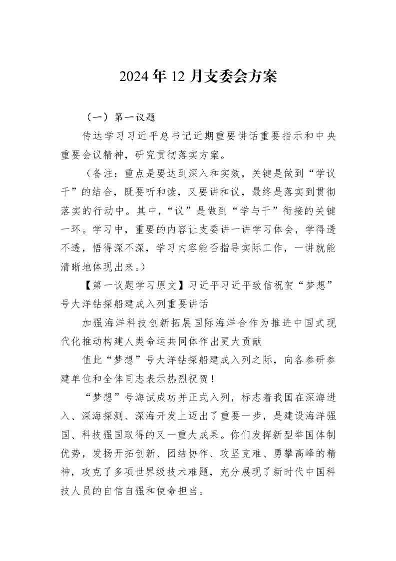 2024年12月支委会方案_第1页