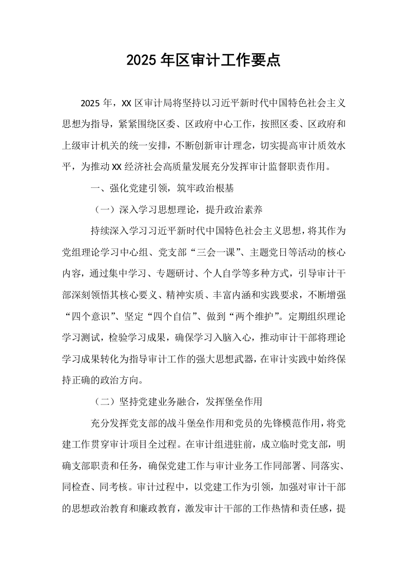 2025年区审计工作要点_第1页