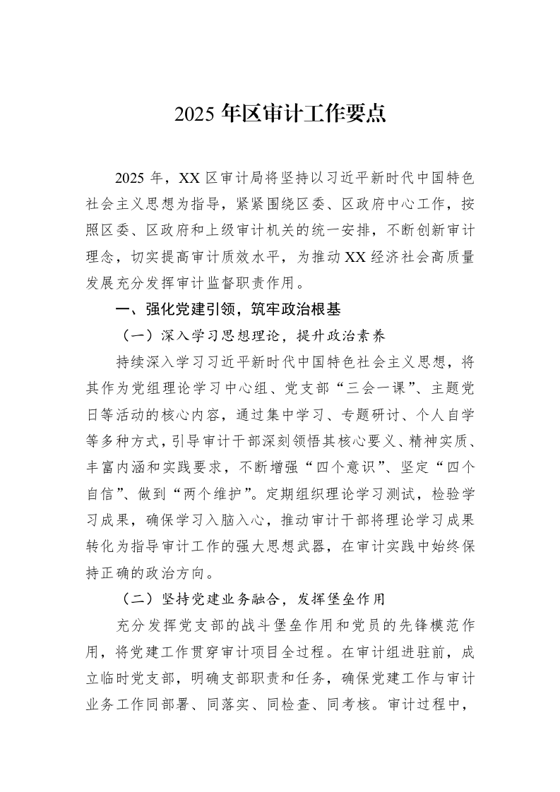 2025年区审计工作要点（3.12）_第1页